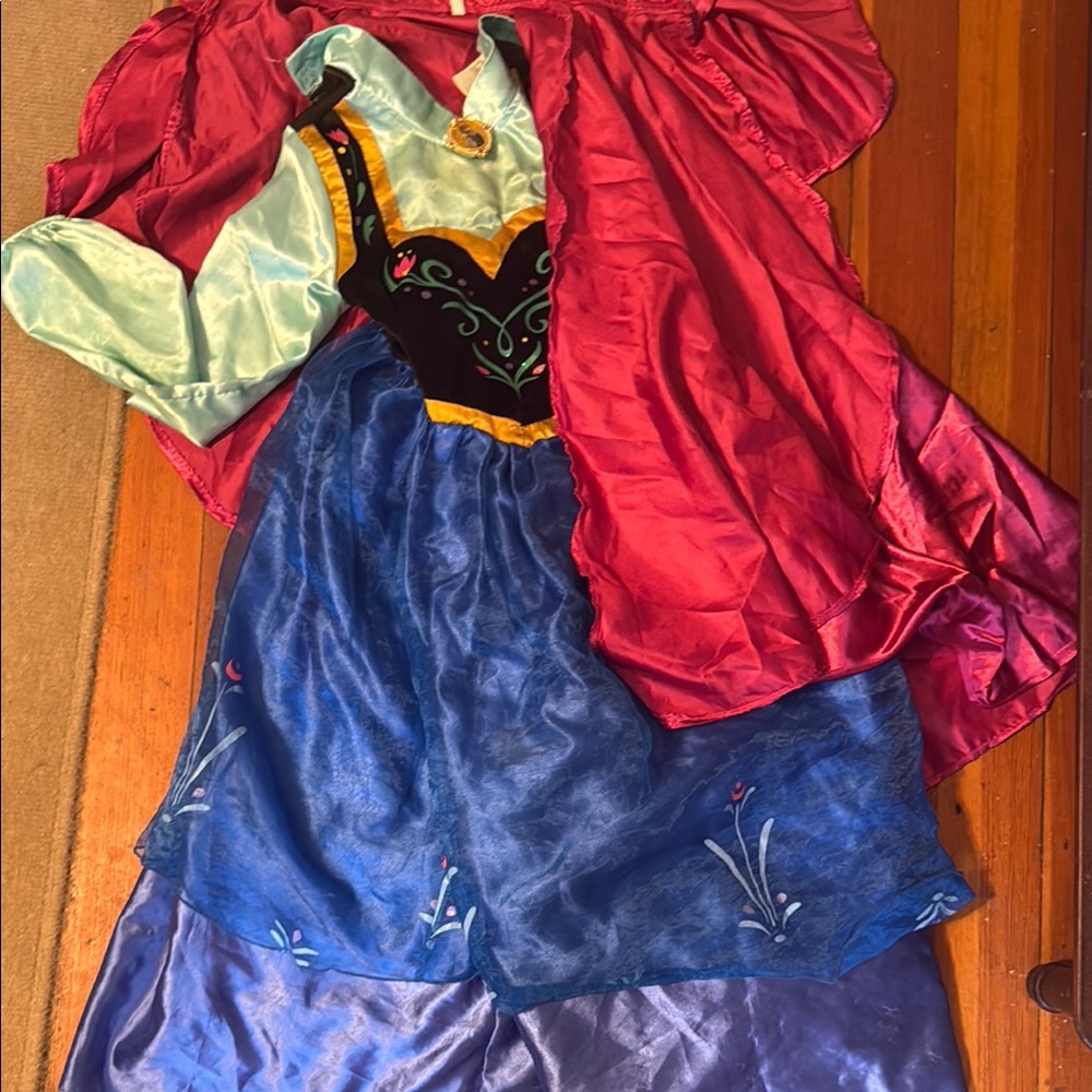 Disney Pink and Blue Halloween Costume with Fairy Tale Design